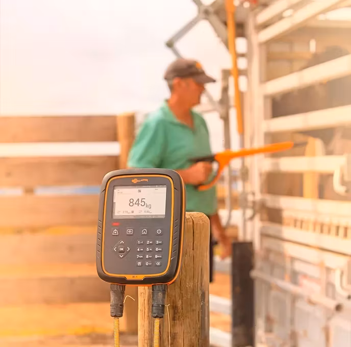 Gallagher - Bäntebingels gård