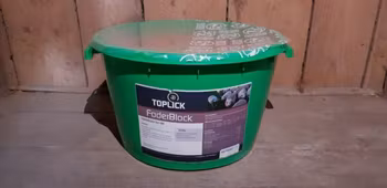 Toplick foderblock Får - 10 st