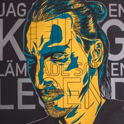 ZLATAN (Såld)