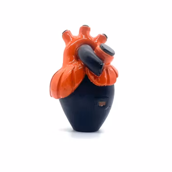 Hjärtat Janne - Era of color