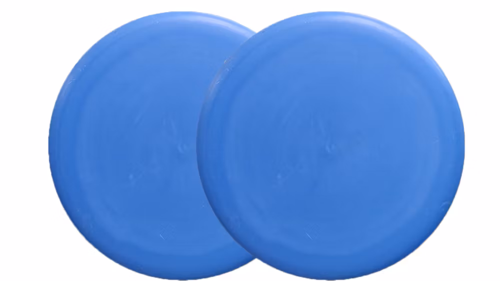 Custom Print Disctroyer