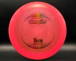Champion Tern