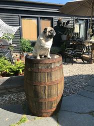 Whiskyfat 200 liter - Premium