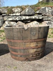 Halvt whiskyfat 250 liter - hög modell