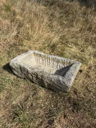Litet stentråg 50x28cm