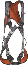 IGNITE SKYFIZZ