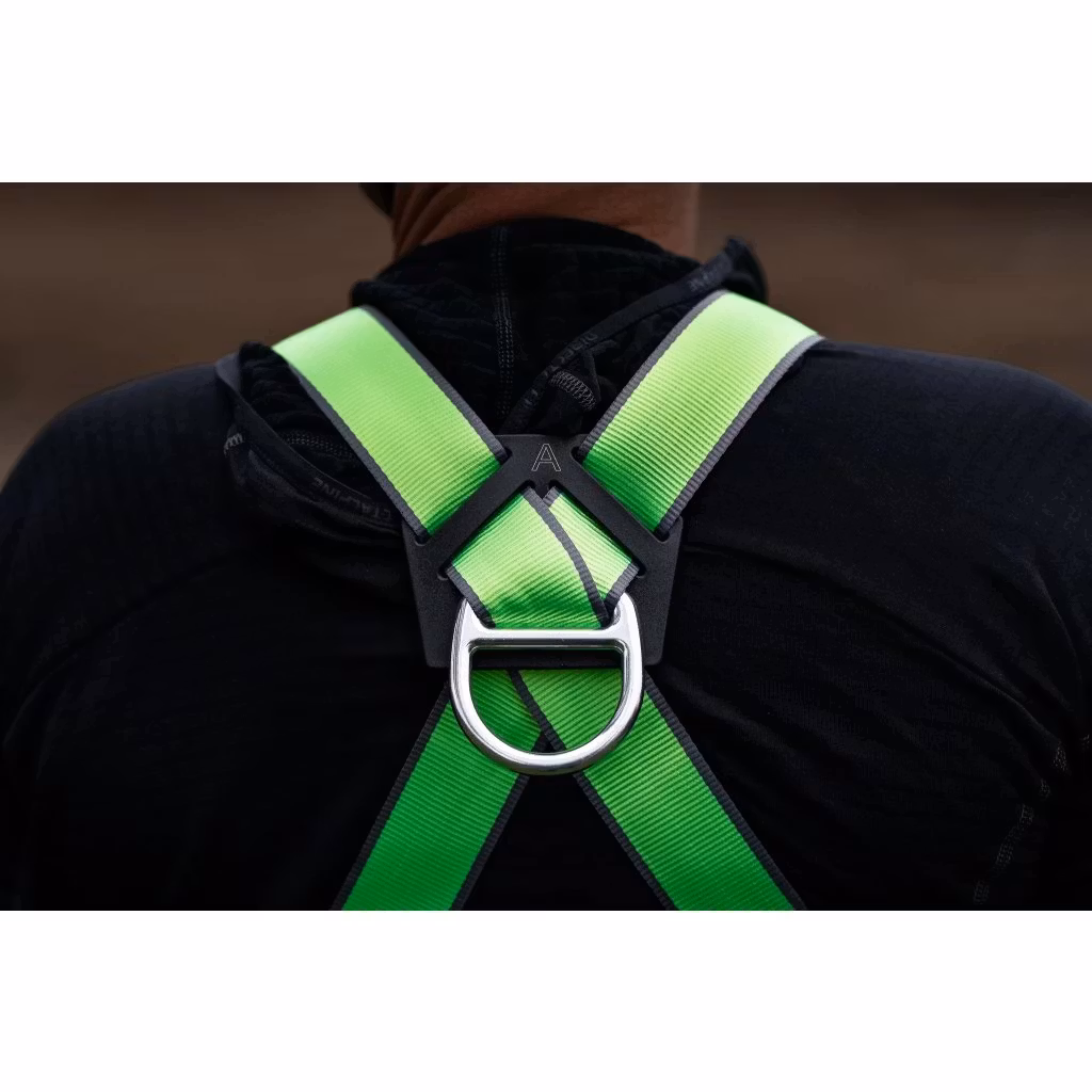 Ronda Speed harness
