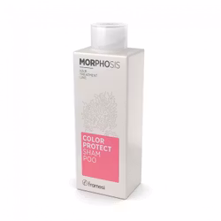 Framesi Morphosis Color Protect Shampoo 250ml