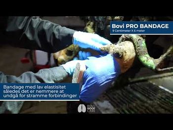 Bovi FAST Hoof Glue - 200 ml