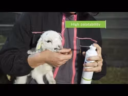 RaizUp FloryBoost Plus Lam 250 ml