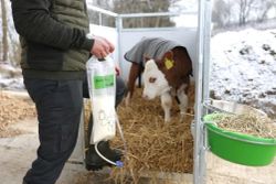 Kerbl Calf-drencher m/2,5 l pose
