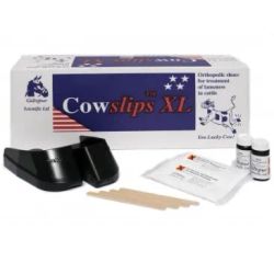 Cowslips XL 5 par