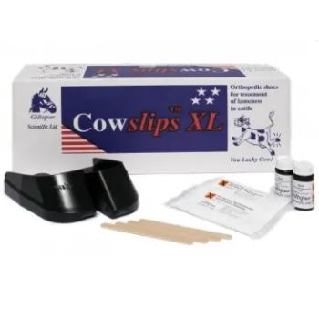 Cowslips XL 5 par