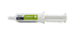 RaizUp Lamboost 60 ml