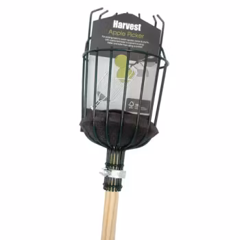 Epleplukker, Burgon & Ball
