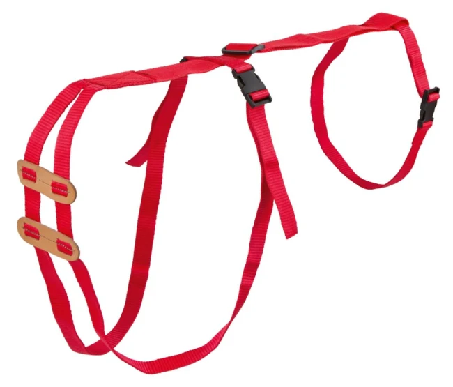 Prolaps Fremfallsele sau