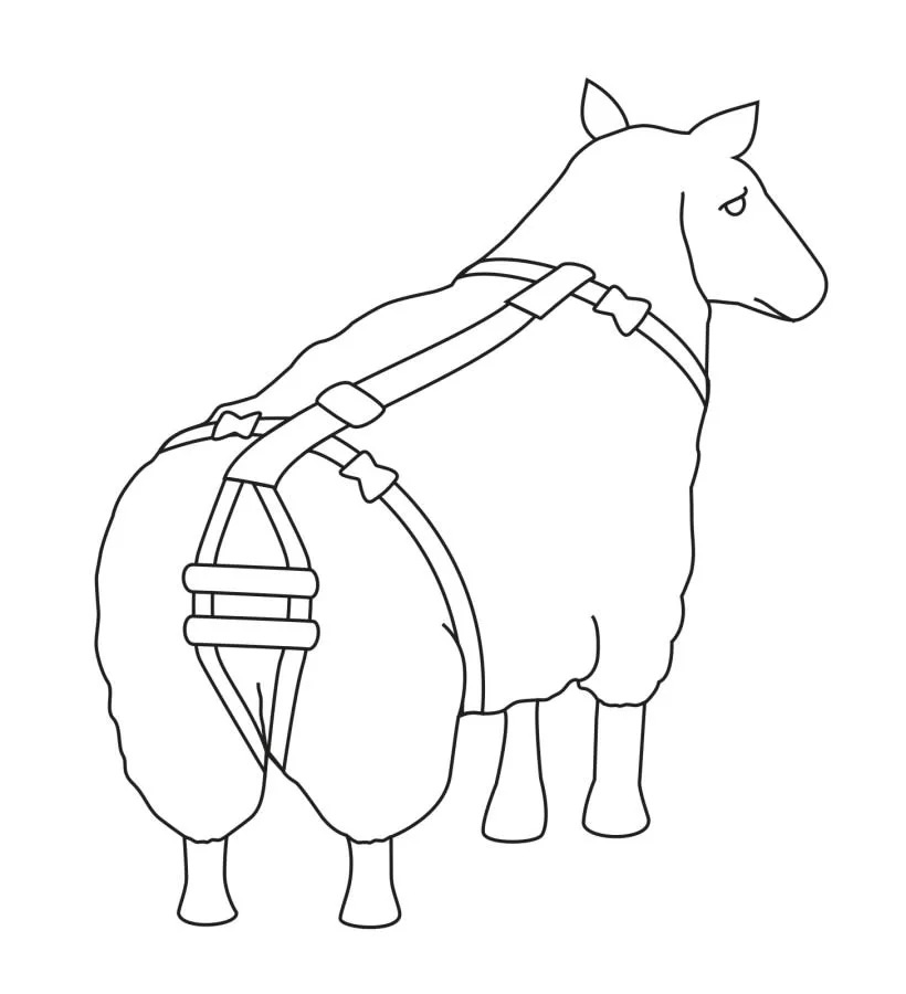 Prolaps Fremfallsele sau