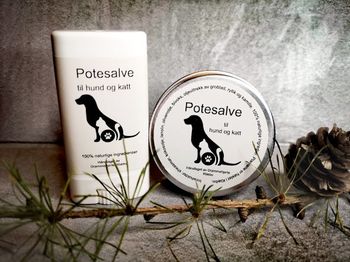 Potesalve til hund og katt. Stift 15 gram