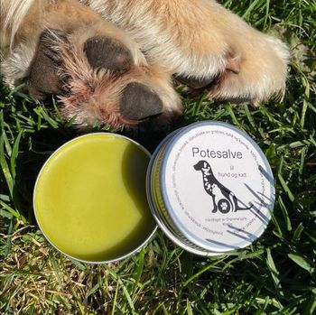 Potesalve for hund og katt ,boks 60 ml