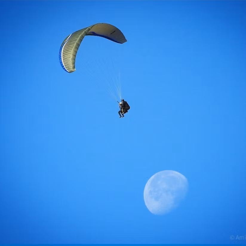 Tandemflyg LYX (Film ingår)