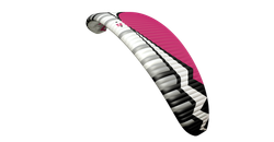 Nucleon 4