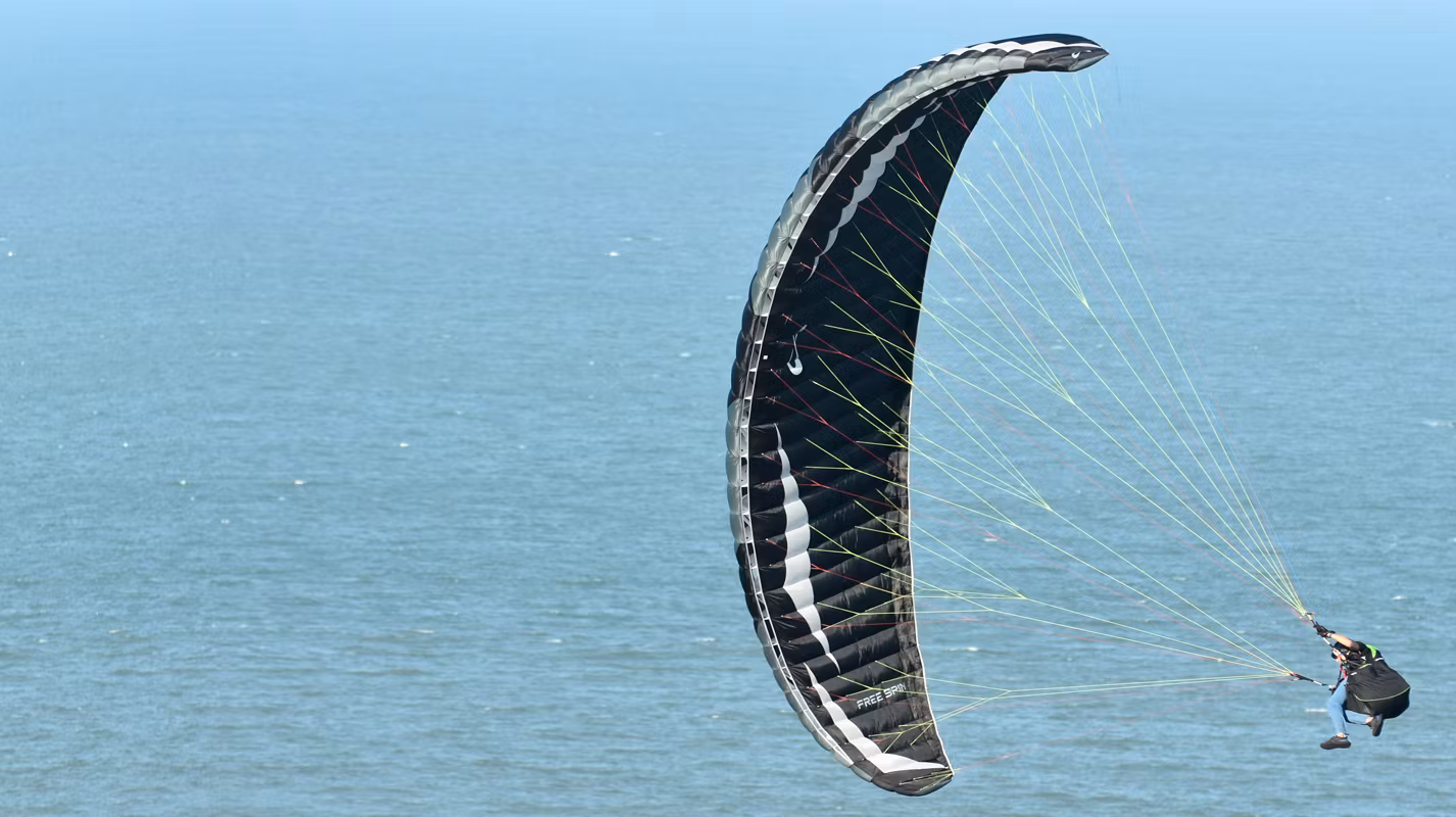 Free Spin