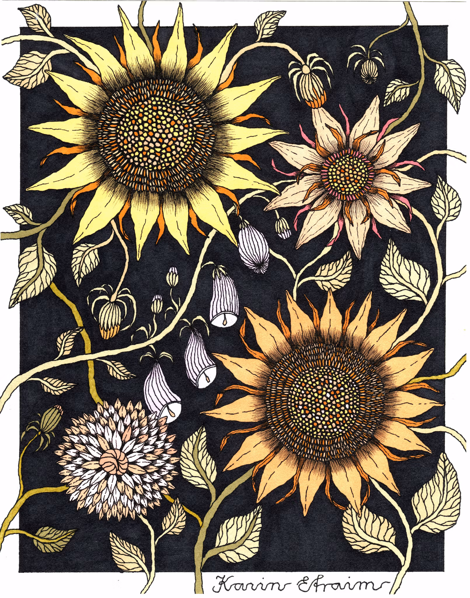 BLOMMOR