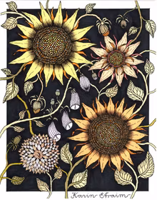 BLOMMOR