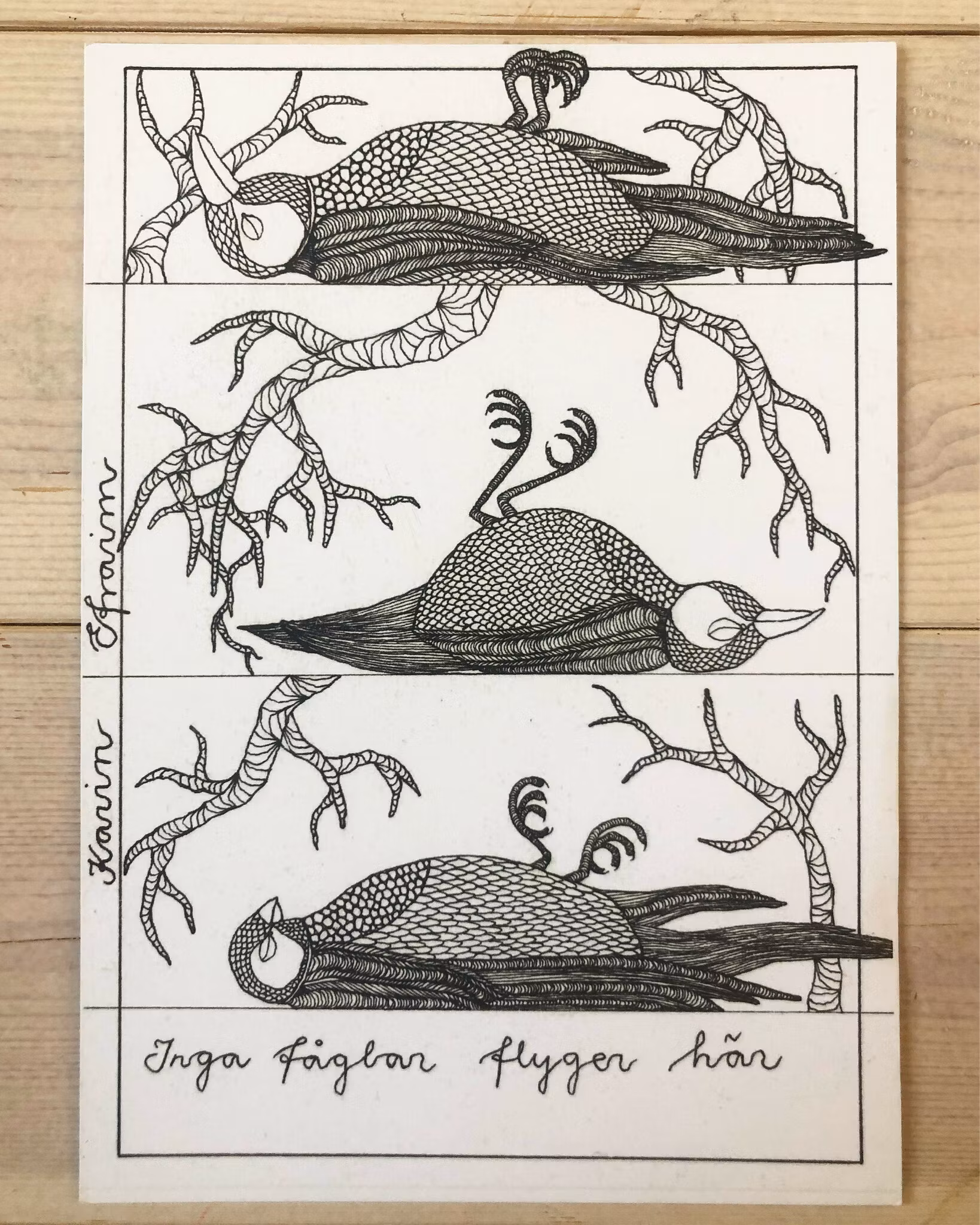 INGA FÅGLAR -print