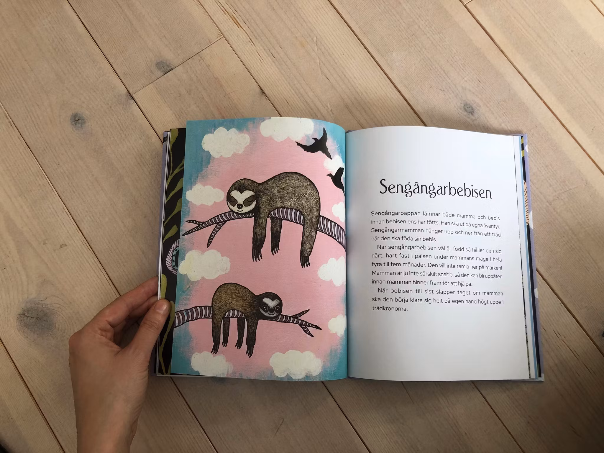 NYHET! Överraskningspaket!