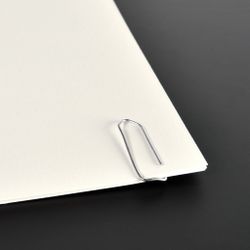 Paperclip 32mm 100 Pack Silver