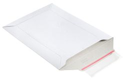 Cardboard envelope / Cardboard bag
