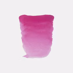 Rembrandt Akvarell-S1-357-Rose