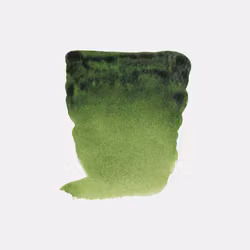 Rembrandt Akvarell-S2-623-Sap green