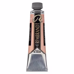 Rembrandt-S2-224-Naples yellow red-40ml