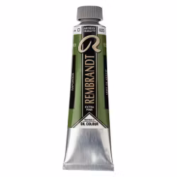 Rembrandt-S2-623-Sap green-40ml