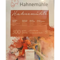 Hahnemuhle-akvarell-Coldpress-42x56cm-300g-10st