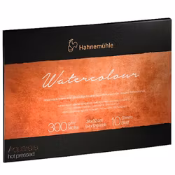 Hahnemuhle 300g-24x32-coldpress-10 st