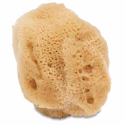 Natursvamp stor-10+cm