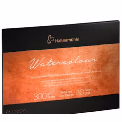 Hahnemuhle 300g-24x32-hotpress-10 st