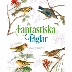 Fantastiska fåglar-Målarbok