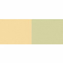 A'KRYL - BICOLOUR 100 ML 74 YELLOW/GREEN