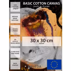 Canvas-Paleda-30x30-basic-260g