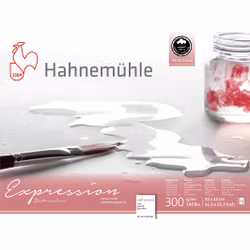 Hahnemuhle Expression 300g CP-30x40cm 20ark