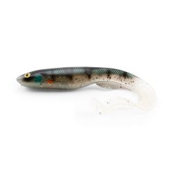 Gator Catfish Ghost Perch 35cm