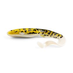 Gator Catfish Natural Burbot 35cm
