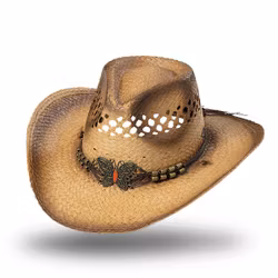 Stars & Stripes cowboyhat Butterfly B