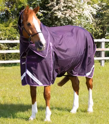 Premier Equine Buster 70g Turnout Rug with Classic Neck Cover Purple