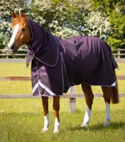 Premier Equine Buster 70g Turnout Rug with Classic Neck Cover Purple