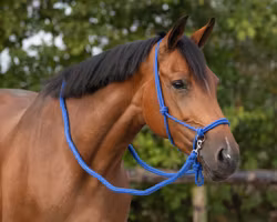 QHP repgrimma med tyglar